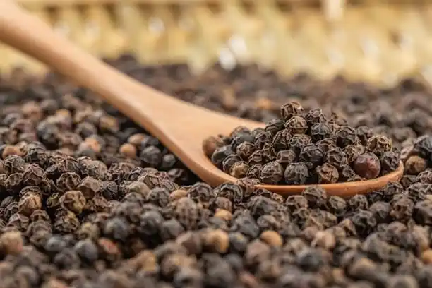 What is Piperine？